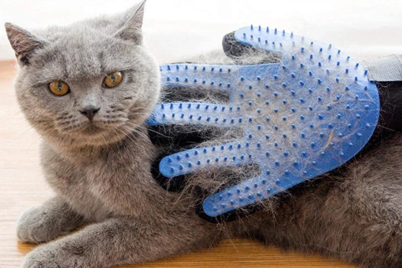 Hc1e9d6ca20dd437aa7800ea87b0c9d27p